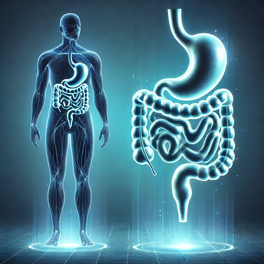 장 건강과 다이어트