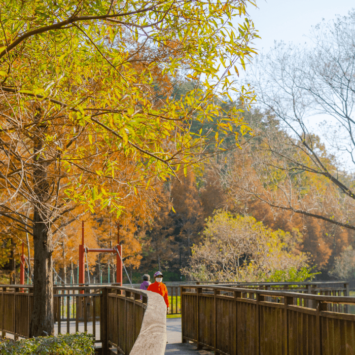 나무 아래를 걷는 사람들
