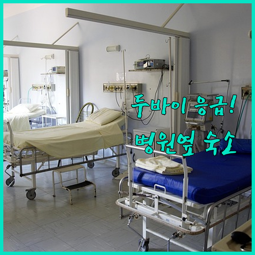 두바이 여행 중 아플 때 찾는 오드메..