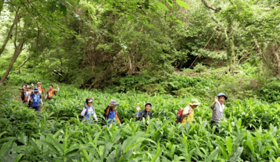 거문오름 탐방 예약 방법 (제주도 명소)