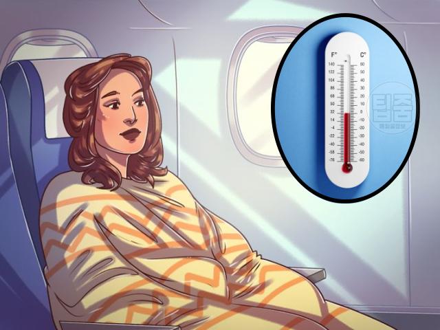 기내식 도시락 파는곳,팁줌