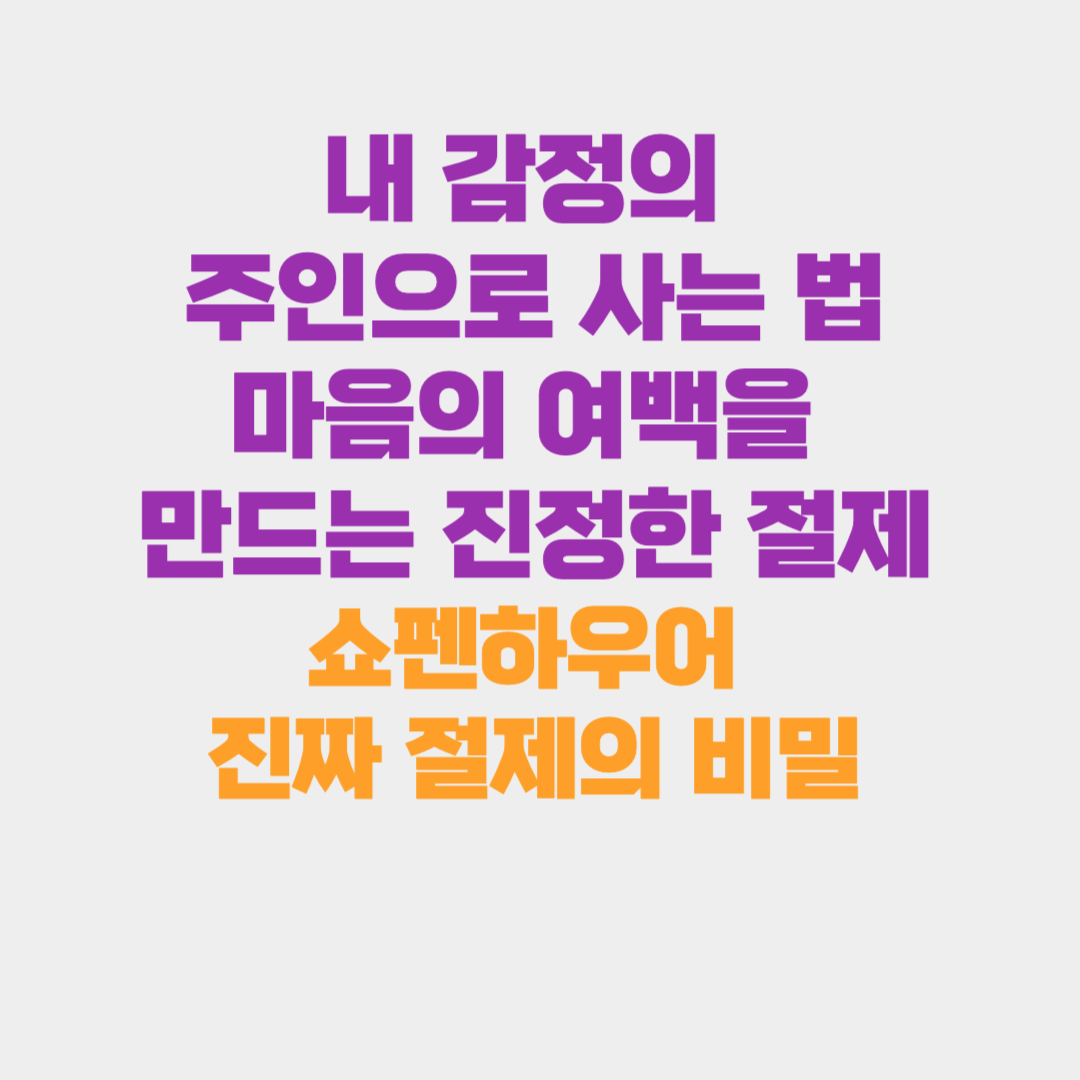 내 감정의 주인으로 사는 법: 마음의 여백을 만드는 진정한 절제(쇼펜하우어 진짜 절제의 비밀)