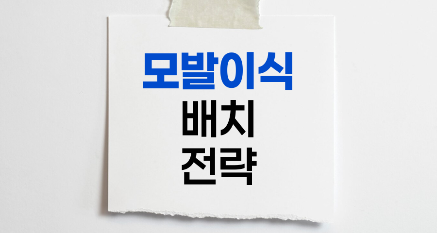 모발이식 배치의 핵심, 효과적인 이식 전략