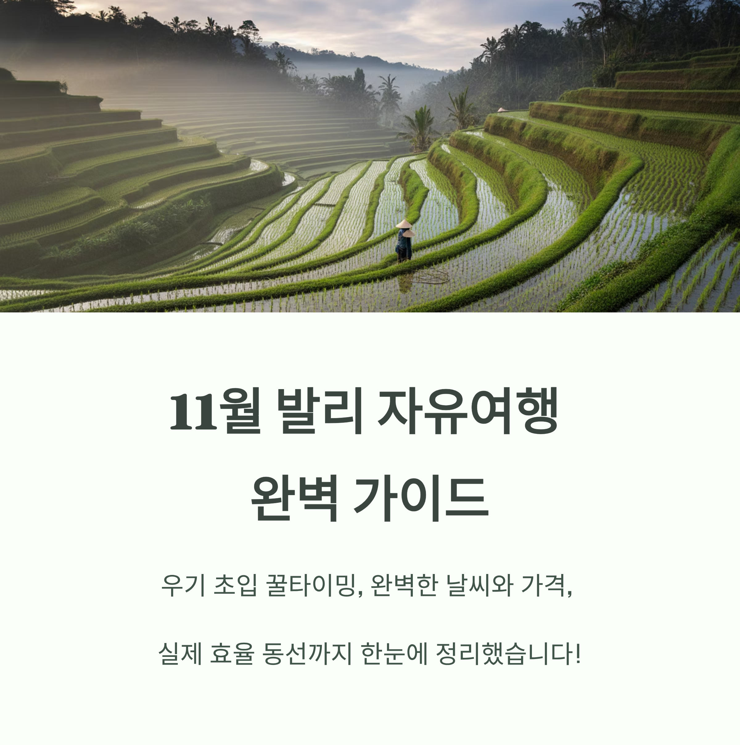 발리 자유여행, 11월이 완벽한 계절인 이유와 현실 루트 총정리