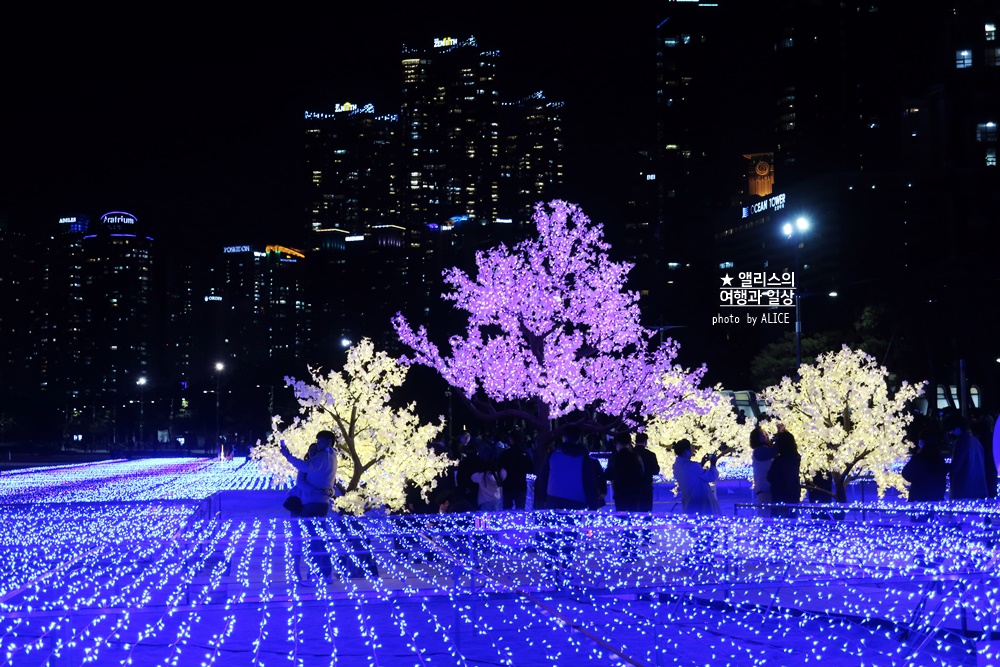 2022 제 9회 해운대 빛축제 빛의 바다 기본정보 위치 시간