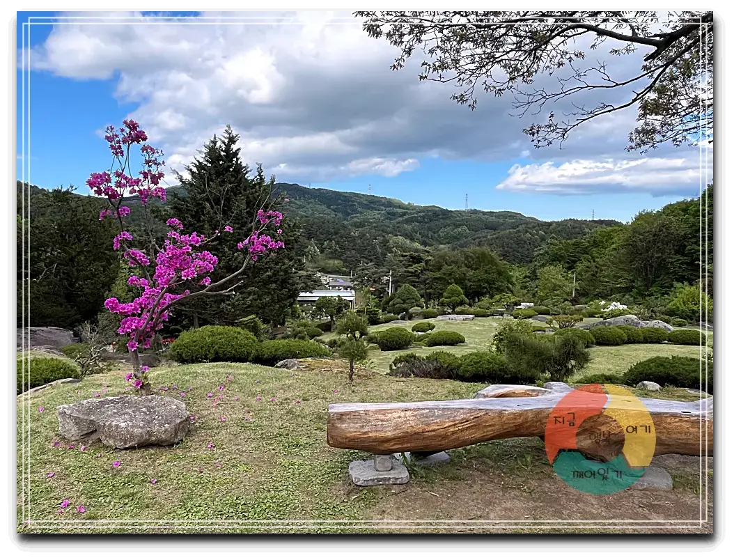 어흘_나무의자-분홍꽃-긴-나무벤치-산-파란하늘-구름