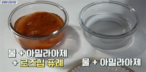 로즈힙 퓨레