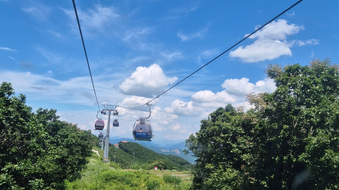 세 아이 엄마 하루 루틴