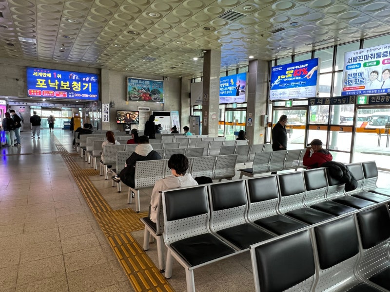 2026 설날 고속버스 예매 완벽 가이드