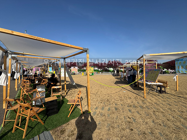 2025 광양매화축제 일정 실시간 개화 주차장