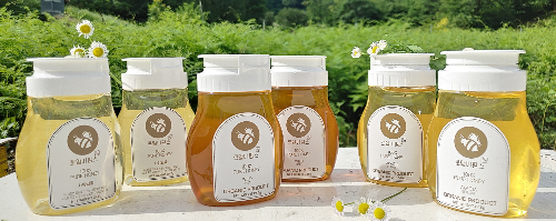 로얄비팜스 천연 벌꿀