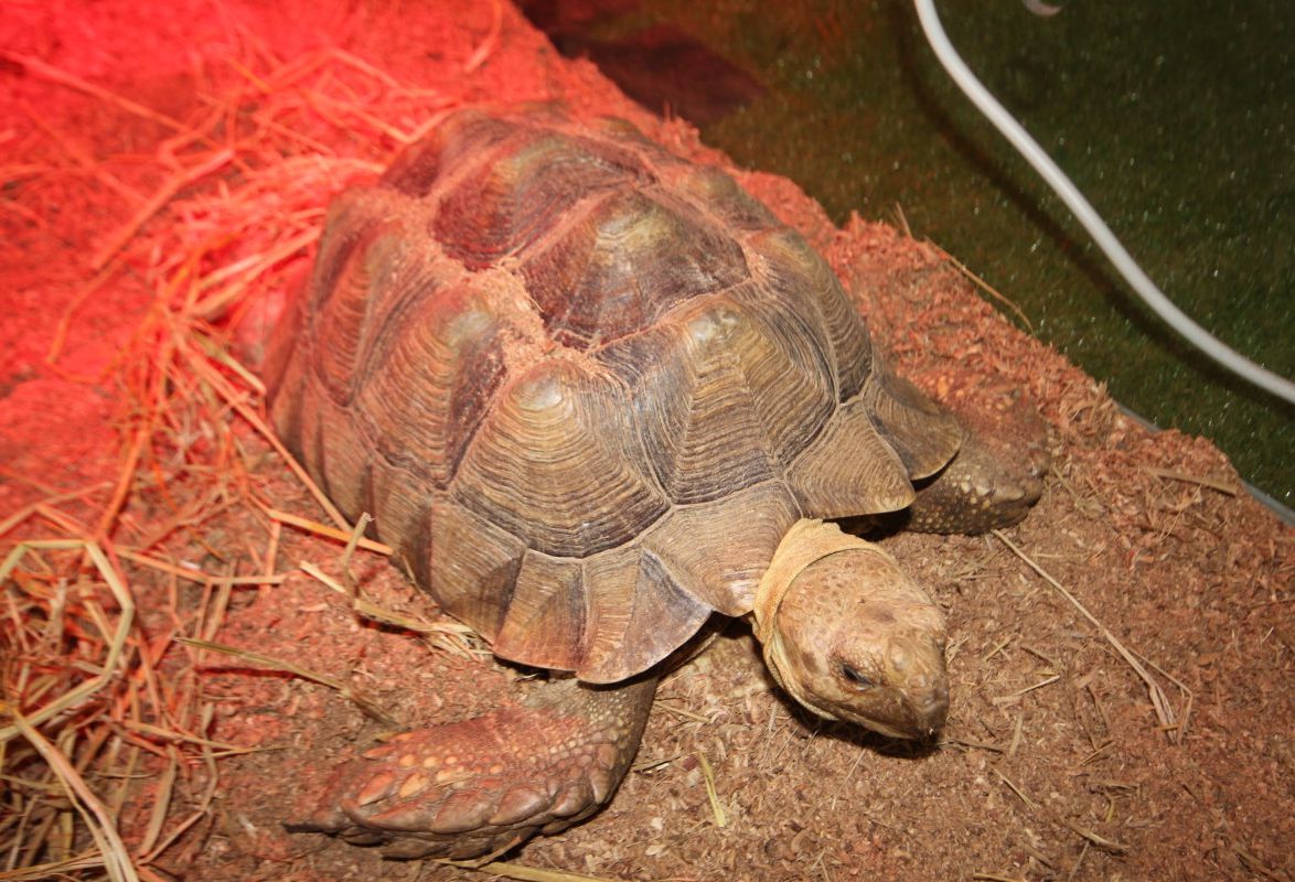 쥬라리움 파주점