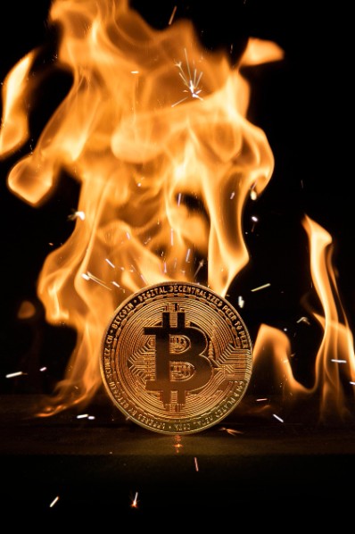 암호화폐 복구 관련 사진