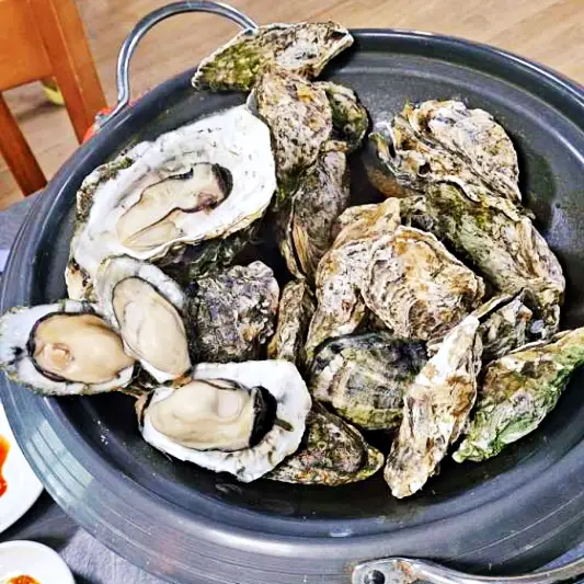 생방송투데이 경남 거제 굴구이 굴무침 굴탕수 맛집