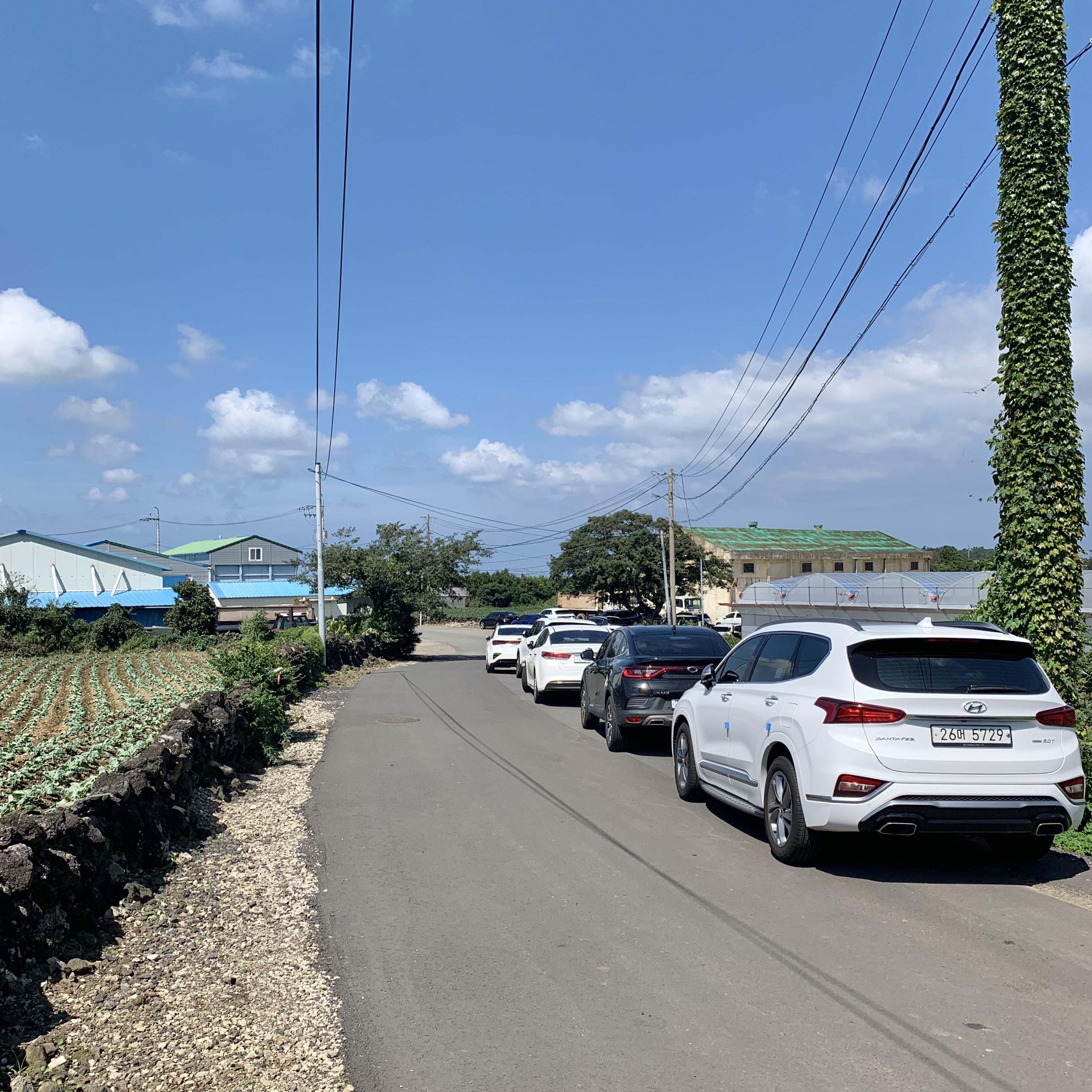 금악마을 아니따파스타 주차장 안내