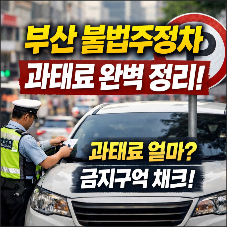 부산 불법주정차 과태료 기준 정리