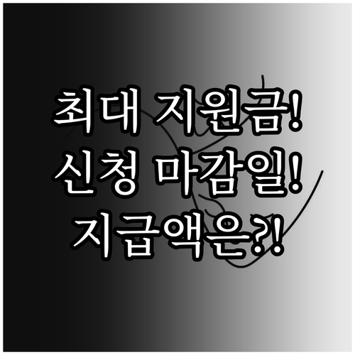 2025 차등 지원 민생회복 소비쿠폰..