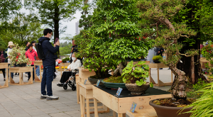 고양국제꽃박람회