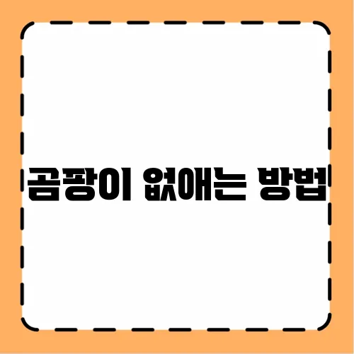 곰팡이 없애는 방법