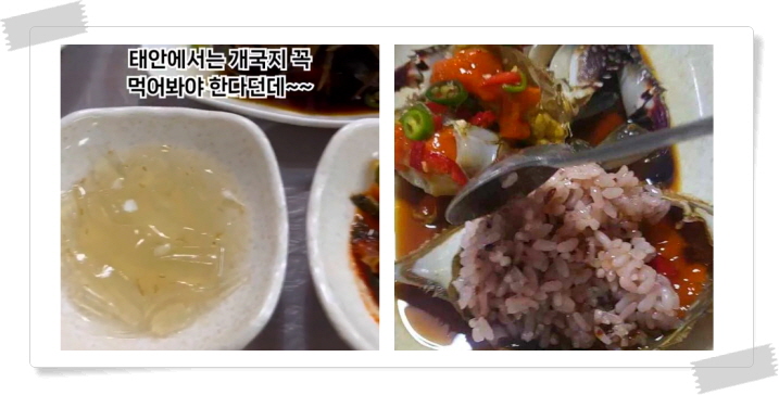 전현무계획2 태안 암꽃게간장게장 우럭젓국 게국지 후기