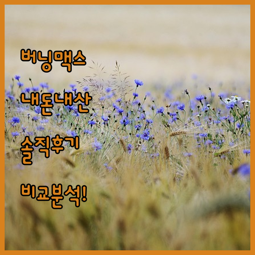 파라다이스 그레인 버닝 맥스 리셋 내..