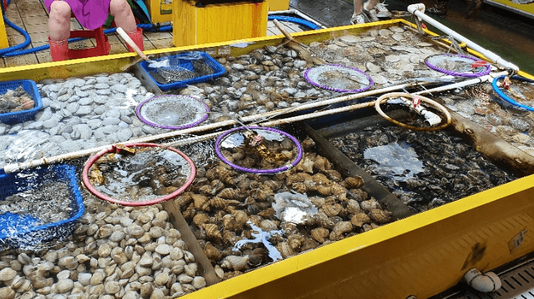 속초관광수산시장