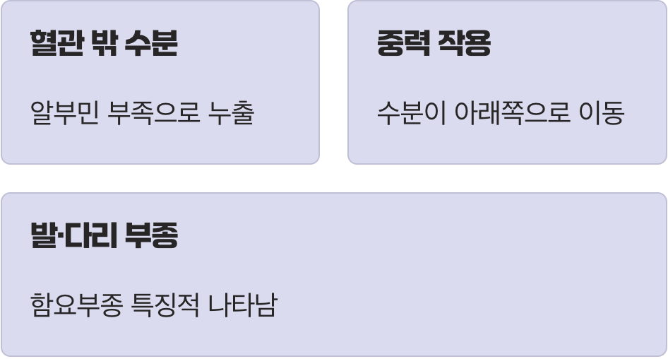 중력의 법칙, 발과 다리가 붓는 이유
