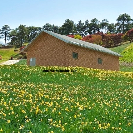 구례 가볼만한곳