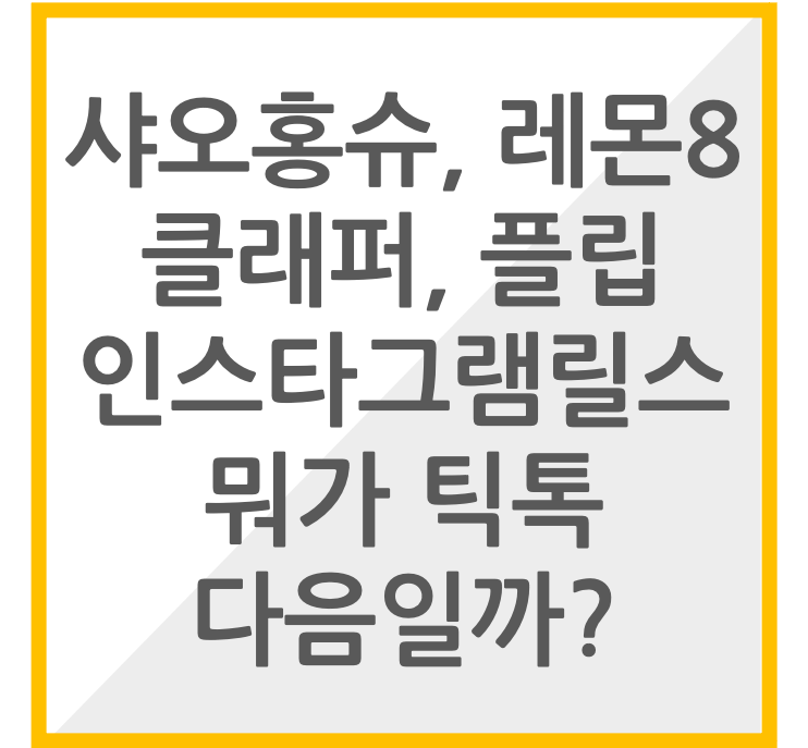 썸네일 틱톡금지유지
