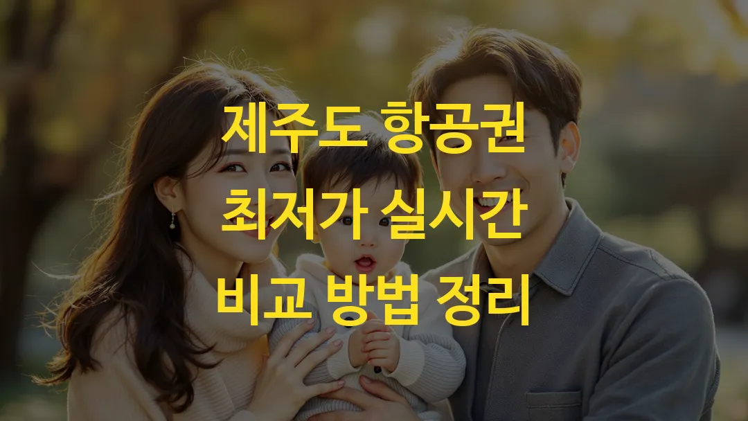 제주도 항공권 최저가 실시간 비교 방법 정리