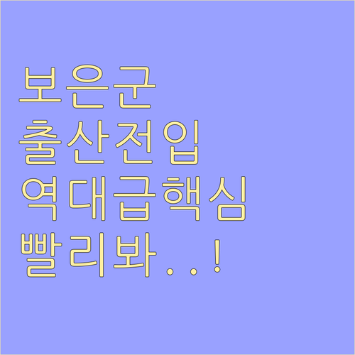 보은군 출산 지원금과 전입 혜택 주민..