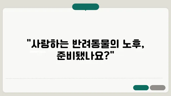 정신적 안정과 환경 조성