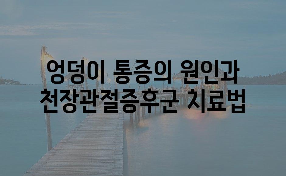 샘플 (78)