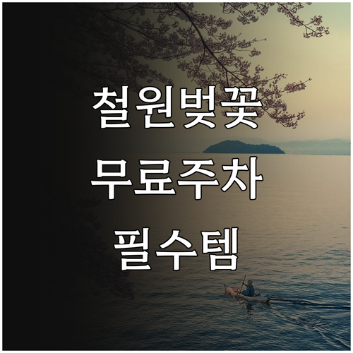 철원 벚꽃 여행 준비물 체크리스트와 ..