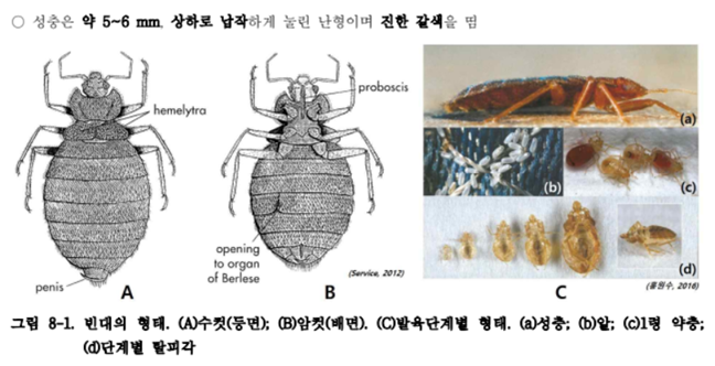빈대 스팀 다리미