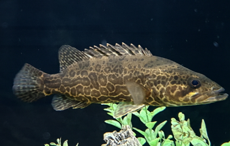 부천 자연생태공원