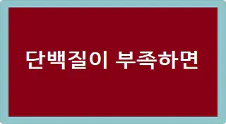 단백질이 부족하면