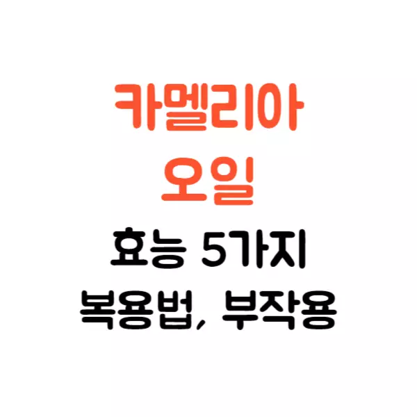 카멜리아 오일 효능 5가지, 지방 배출 효과는