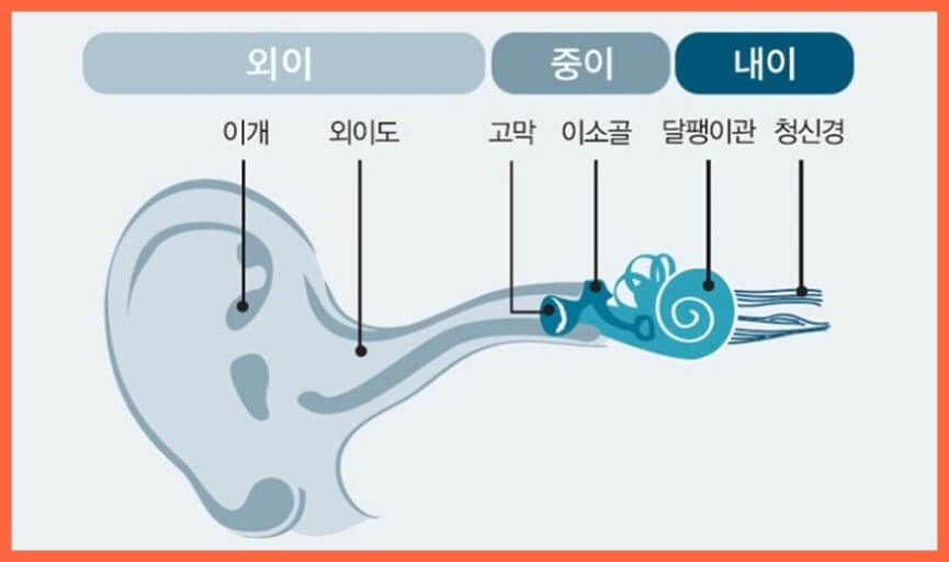 청각관련 기관