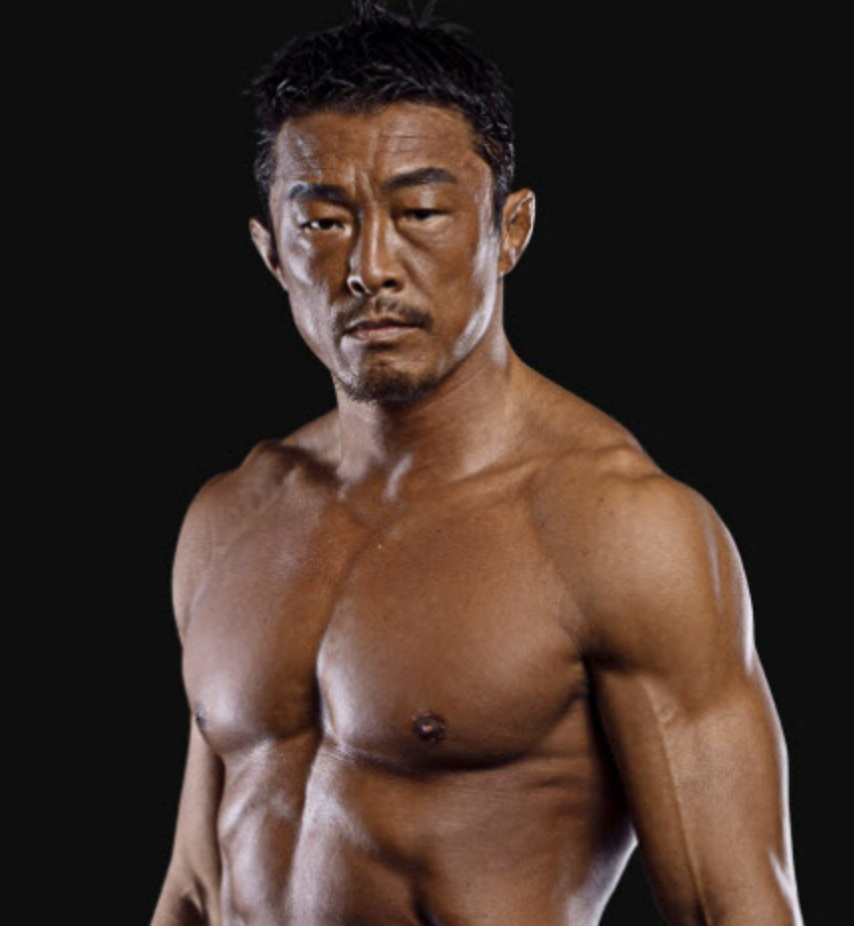 추성훈 격투 프로필