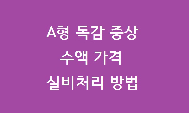 A형독감수액실비