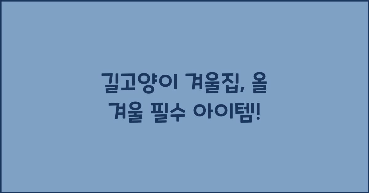 길고양이 겨울집