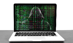 온라인 사기 신고, 대응