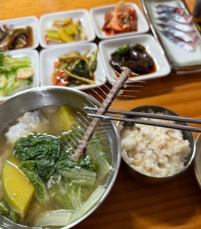 백반기행-제주도-갈치국