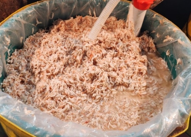 전현무계획-홍성-토굴-새우젓