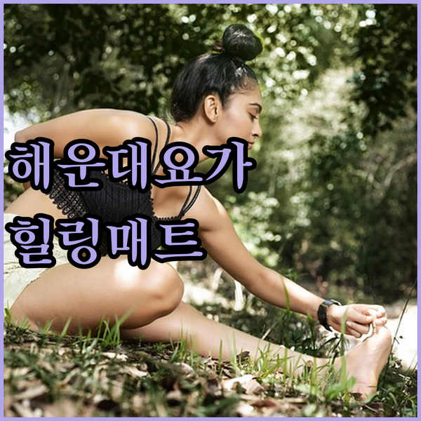 부산 해운대에서 만끽하는 힐링 요가!..