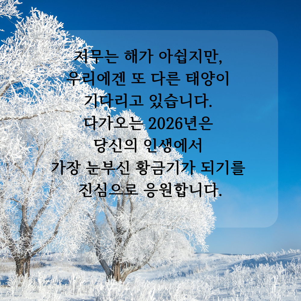 2025년 12월 인사말 문구 이미지 모음 글귀