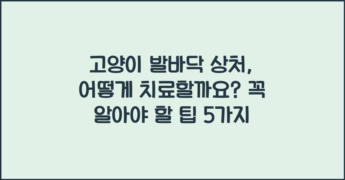 고양이 발바닥 상처, 어떻게 치료할까요?