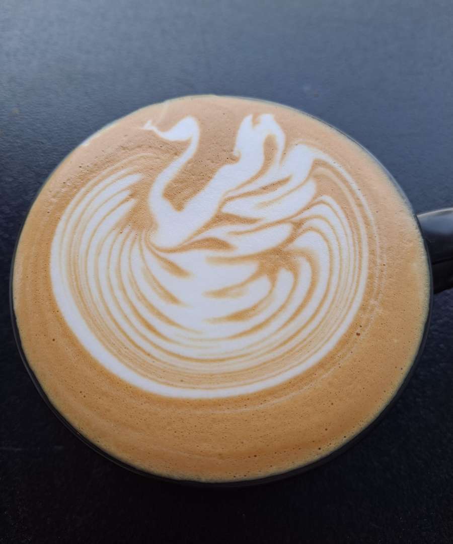 라떼아트 스완