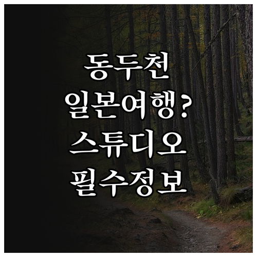 동두천 가볼만한곳 니지모리스튜디오 예..